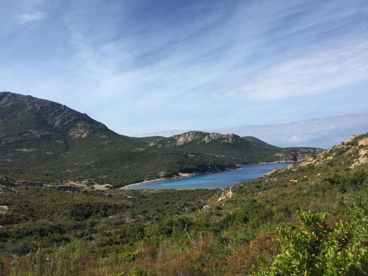 Villa Le Cabanon Des Hirondelles Villecroze Esterno foto